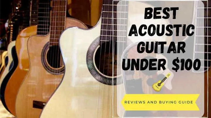 best acoustic guitar under 100