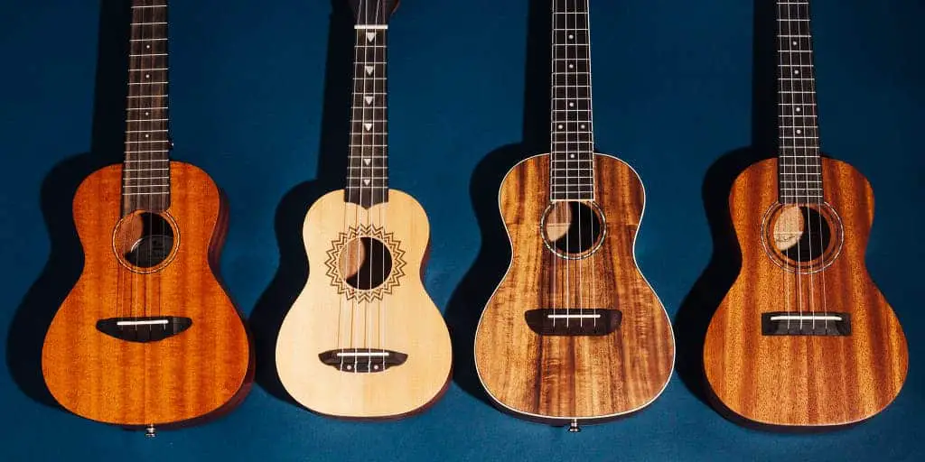 best ukulele for professionals
