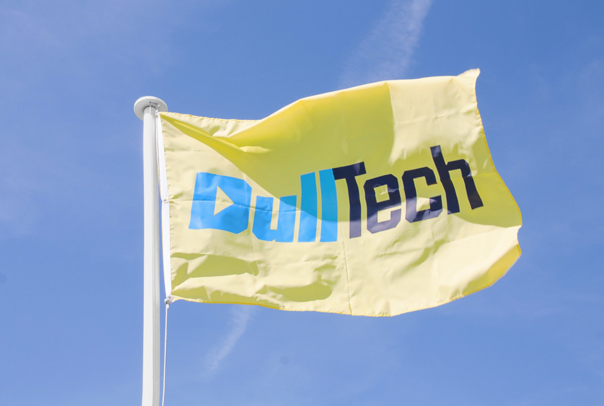 dulltechtm-dulltechtm-flag-2015-courtesy-of-the-artist-and-carroll-fletcher-london